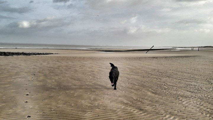 20161117_100055_edited