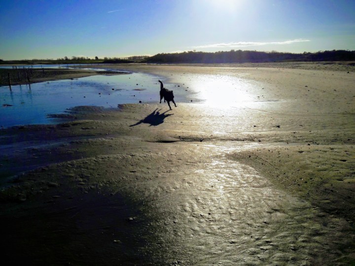 20181204_111930-effects